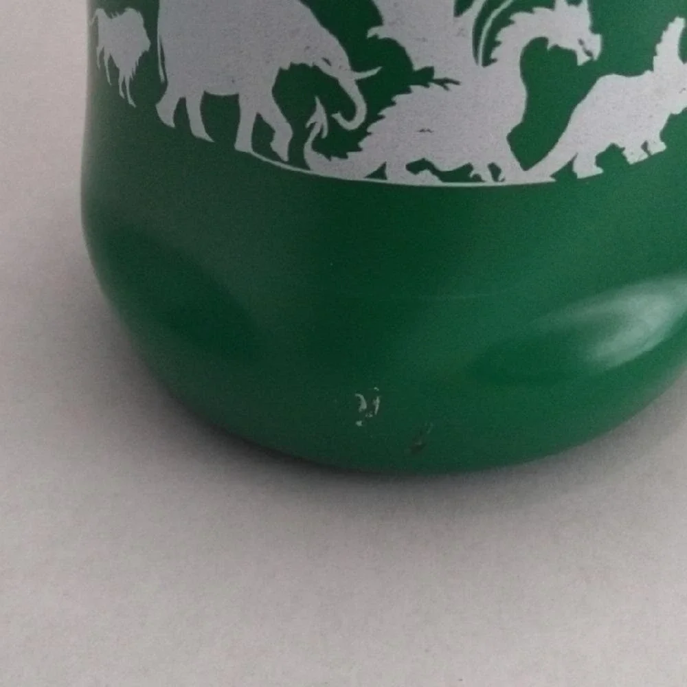 Disney Green Animal Kingdom Koozie‎